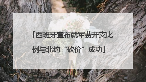 西班牙宣布就军费开支比例与北约“砍价”成功