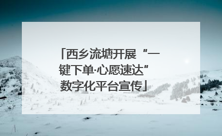 西乡流塘开展“一键下单·心愿速达”数字化平台宣传