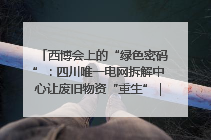 西博会上的“绿色密码”：四川唯一电网拆解中心让废旧物资“重生”｜西博寻“新”记