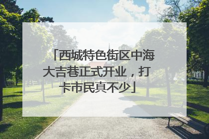 西城特色街区中海大吉巷正式开业，打卡市民真不少
