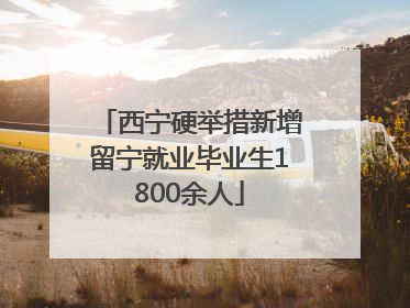 西宁硬举措新增留宁就业毕业生1800余人