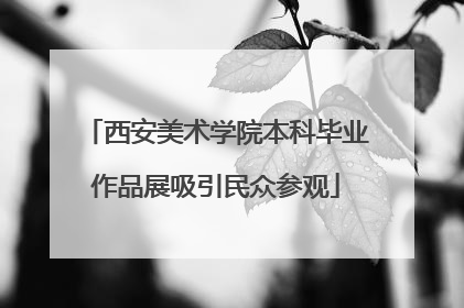 西安美术学院本科毕业作品展吸引民众参观