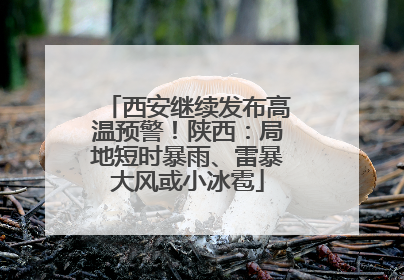 西安继续发布高温预警！陕西：局地短时暴雨、雷暴大风或小冰雹