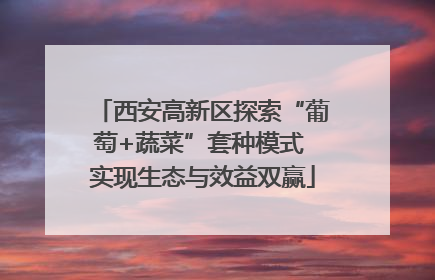 西安高新区探索“葡萄+蔬菜”套种模式 实现生态与效益双赢