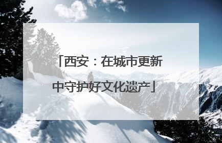 西安：在城市更新中守护好文化遗产
