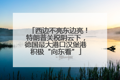 西边不亮东边亮！特朗普关税阴云下，德国最大港口汉堡港积极“向东看”