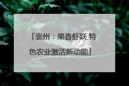 襄州：果香虾跃 特色农业激活新动能