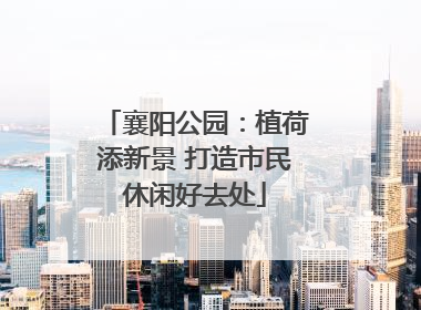 襄阳公园：植荷添新景 打造市民休闲好去处