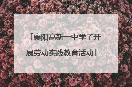 襄阳高新一中学子开展劳动实践教育活动