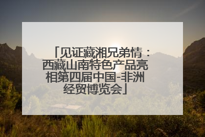 见证藏湘兄弟情：西藏山南特色产品亮相第四届中国-非洲经贸博览会