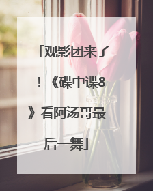 观影团来了！《碟中谍8》看阿汤哥最后一舞