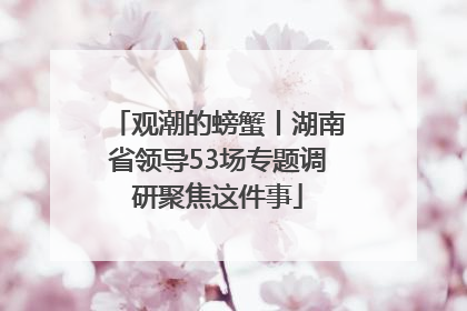 观潮的螃蟹丨湖南省领导53场专题调研聚焦这件事