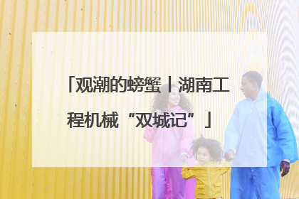 观潮的螃蟹丨湖南工程机械“双城记”