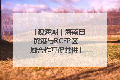 观海潮｜海南自贸港与RCEP区域合作互促共进
