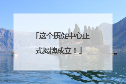 这个质促中心正式揭牌成立！