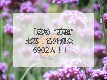 这场“苏超”比赛，省外观众6902人！