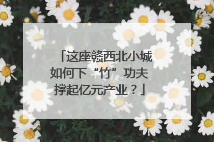 这座赣西北小城如何下“竹”功夫撑起亿元产业？