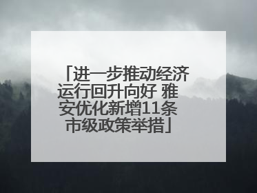进一步推动经济运行回升向好 雅安优化新增11条市级政策举措
