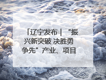 辽宁发布｜“振兴新突破 决胜勇争先”产业、项目、民生齐发力 葫芦岛按下决胜之年“加速键”