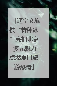 辽宁文旅携“特种冰”亮相北京 多元魅力点燃夏日旅游热情
