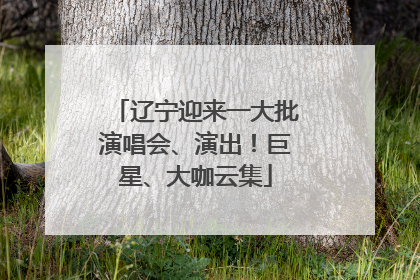 辽宁迎来一大批演唱会、演出！巨星、大咖云集