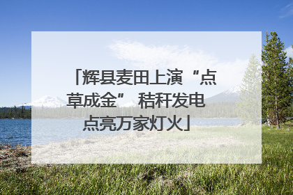 辉县麦田上演“点草成金” 秸秆发电点亮万家灯火