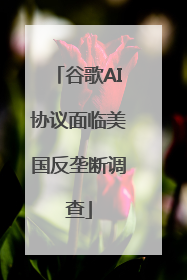 谷歌AI协议面临美国反垄断调查