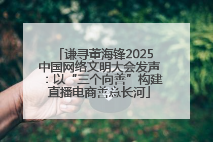 谦寻董海锋2025中国网络文明大会发声：以“三个向善”构建直播电商善意长河