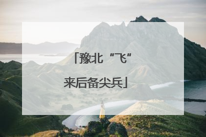 豫北“飞”来后备尖兵