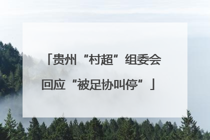 贵州“村超”组委会回应“被足协叫停”