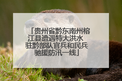 贵州省黔东南州榕江县遭遇特大洪水 驻黔部队官兵和民兵驰援防汛一线
