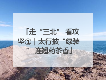 走“三北” 看攻坚①｜太行披“绿装” 连翘药茶香