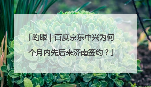 趵眼｜百度京东中兴为何一个月内先后来济南签约？