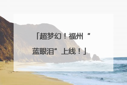 超梦幻！福州“蓝眼泪”上线！