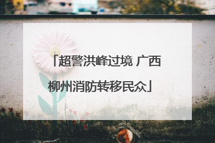 超警洪峰过境 广西柳州消防转移民众