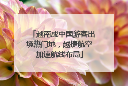 越南成中国游客出境热门地，越捷航空加速航线布局