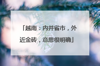 越南：内并省市，外近金砖，意思很明确