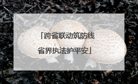 跨省联动筑防线 省界执法护平安