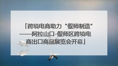 跨境电商助力“偃师制造”——阿拉山口-偃师区跨境电商出口商品展览会开幕