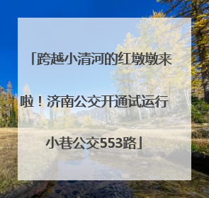 跨越小清河的红墩墩来啦！济南公交开通试运行小巷公交553路