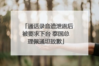 通话录音遭泄露后被要求下台 泰国总理佩通坦致歉