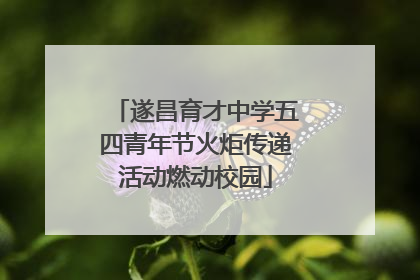 遂昌育才中学五四青年节火炬传递活动燃动校园