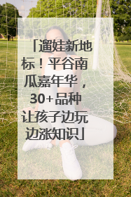遛娃新地标！平谷南瓜嘉年华，30+品种让孩子边玩边涨知识