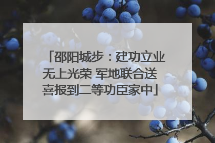 邵阳城步：建功立业无上光荣 军地联合送喜报到二等功臣家中