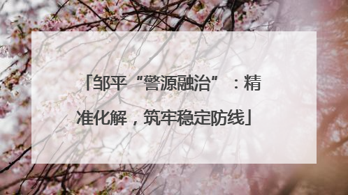 邹平“警源融治”：精准化解，筑牢稳定防线