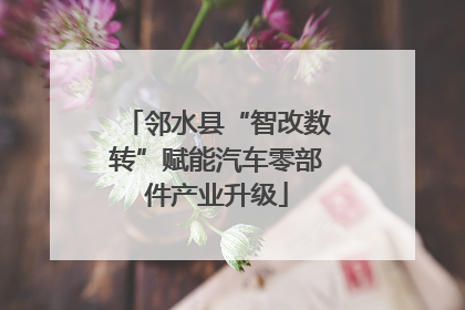 邻水县“智改数转”赋能汽车零部件产业升级
