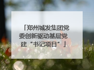 郑州城发集团党委创新驱动基层党建“书记项目”