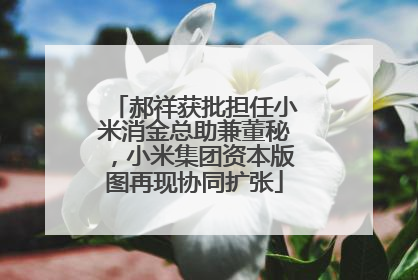 郝祥获批担任小米消金总助兼董秘，小米集团资本版图再现协同扩张