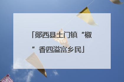 郧西县土门镇“椒”香四溢富乡民