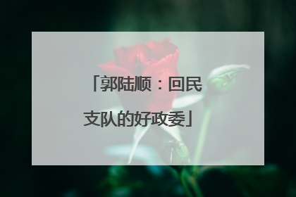 郭陆顺：回民支队的好政委